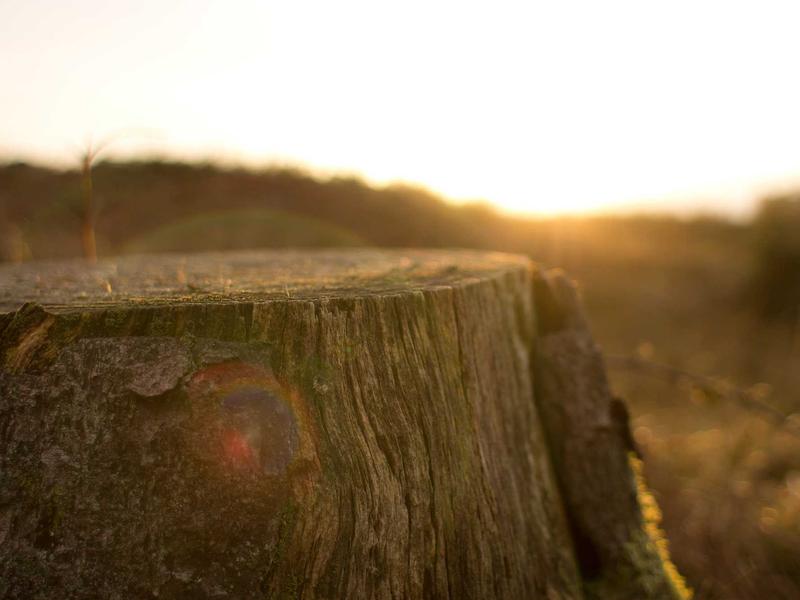 Townhouse in Parklands